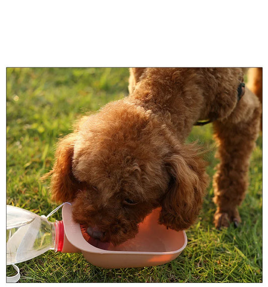 Portable screw on water bowl for pets